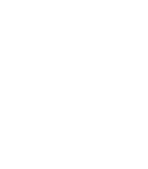 Dogs Security