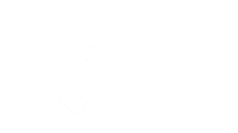 A2CE